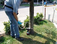 Lavori di Endoterapia